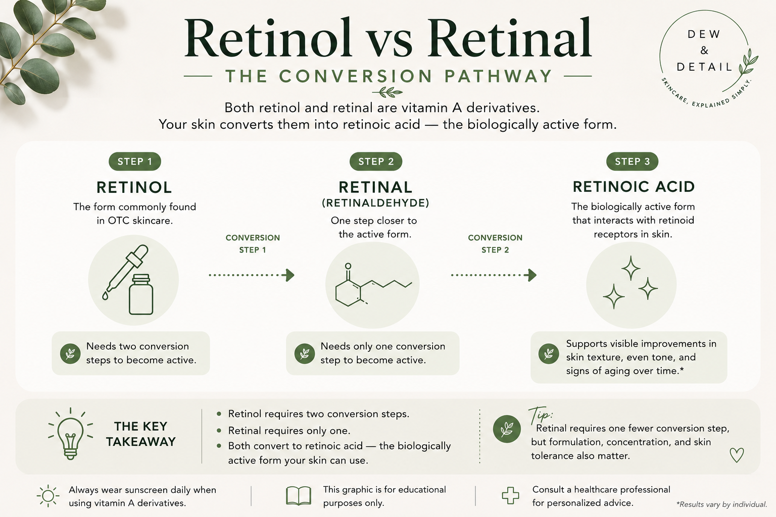 Retinol vs Retinal conversion pathway